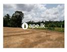 Watareka Land For Sale